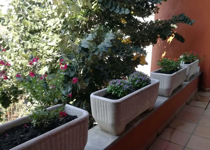 Casa Ferriols 2.0 * Peralada